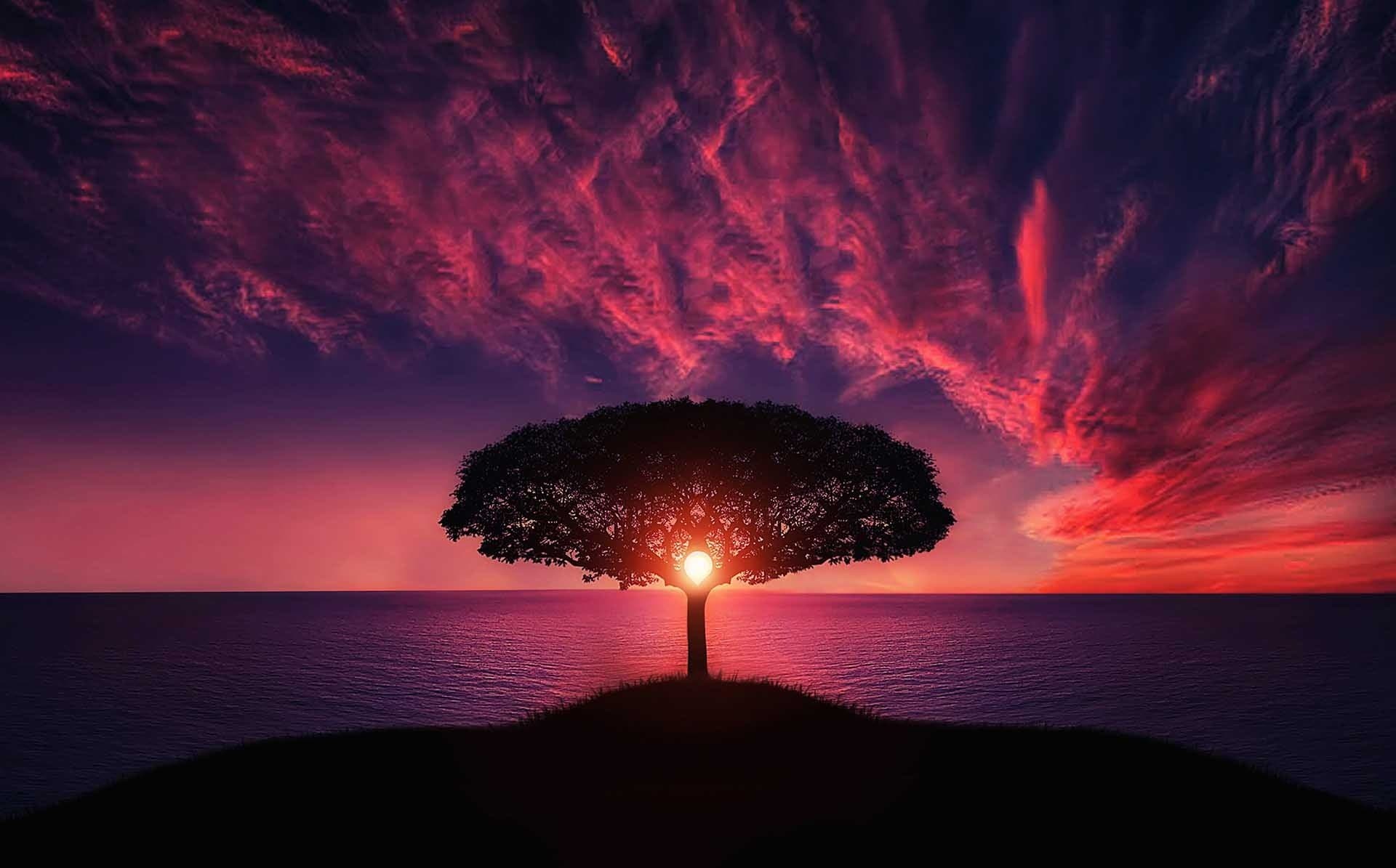 welcome to my blog